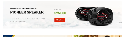 Pioneer Speaker - $250.00